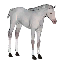 White Foal Decoration Pet icon.png