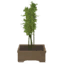Tabletop Bamboo Tree icon.png