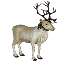 White Reindeer Decoration Pet icon.png