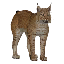 Founder Lord Lynx icon.png