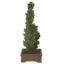 Tabletop Juniper Tree icon.png