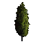 Cypress Tree icon.png