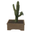 Tabletop Saguaro Multi-Branch Cactus icon.png
