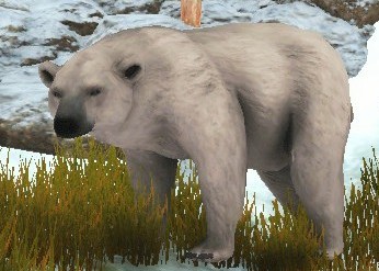 Ferocious Polar Bear 1.jpg