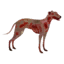 Zombie Dog icon.png