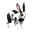 Spotted Rabbit icon.png