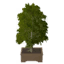Tabletop Puzzle Tree icon.png