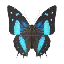 Giant Butterfly Pet icon.png