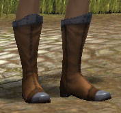 Iron chainmail boots.jpg