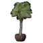Potted Fountain Palm Tree icon.png