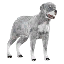 Winter Rottweiler Pet icon.png