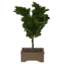 Tabletop White Oak Tree icon.png