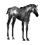 Black Foal Decoration Pet icon.png