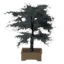 Tabletop Dead Tree icon.png