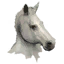 White Horse Mask icon.png