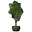 Potted White Oak Tree icon.png