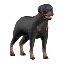 Rottweiler Hunting Dog Pet icon.png