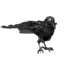 Black Clockwork Raven Pet icon.png