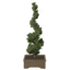 Tabletop Juniper Topiary Tree icon.png