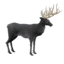 Black Stag Decoration Pet icon.png