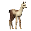 Baby Llama Decoration Pet icon.png