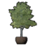 Potted Common Linden Tree icon.png