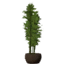 Potted Bamboo Tree icon.png