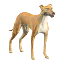 Founder Tier Greyhound icon.png