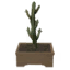 Tabletop Saguaro Cactus icon.png