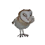 Barn Owl Decoration Pet icon.png
