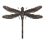 Giant Dragonfly Decoration Pet icon.png