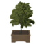 Tabletop Common Linden Tree icon.png