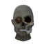 Zombie One-Eyed Mask icon.png