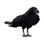 Founder Tier Raven icon.png