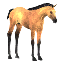 Buckskin Foal Decoration Pet icon.png