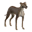 Brindle Greyhound Decoration Pet icon.png