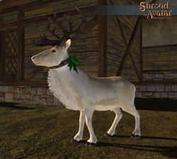 SotA 2015 White Reindeer.jpg