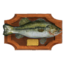 Spotted Bass Trophy icon.png