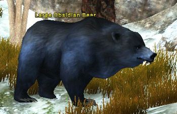 Large Obsidian Bear 5.jpg