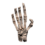 Hand icon.png