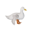 White Duck icon.png
