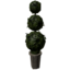 Hedge Sphere Tree icon.png
