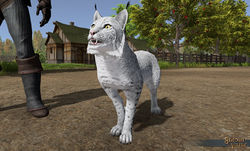 SotA Winter Lynx Pet view1.jpg
