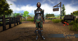 Elven elite fighter armor front v2.jpg