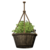 Hanging Potted Azalea icon.png