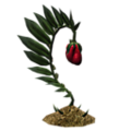 Immortality Fruit Plant icon.png