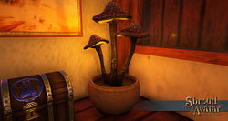Sota glowing mushroom potted orange.jpg