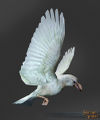 SotA White Raven Pet.jpg