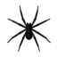 Spider icon.png