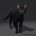 SotA Black Cat Pet.png